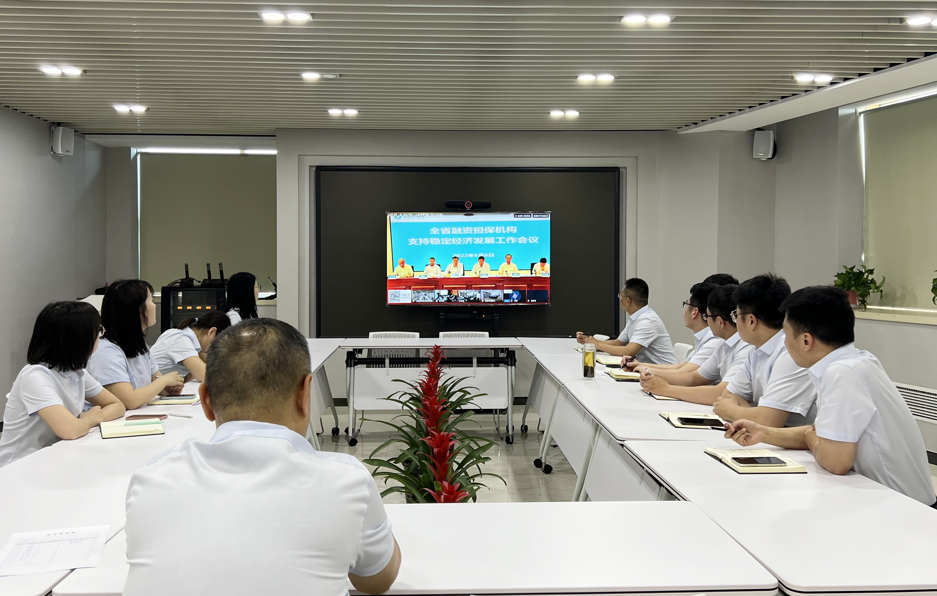 七项融资担保举措支持河南省稳经济大盘 中原再担保集团召开全省融资担保机构支持稳定经济发展工作会议