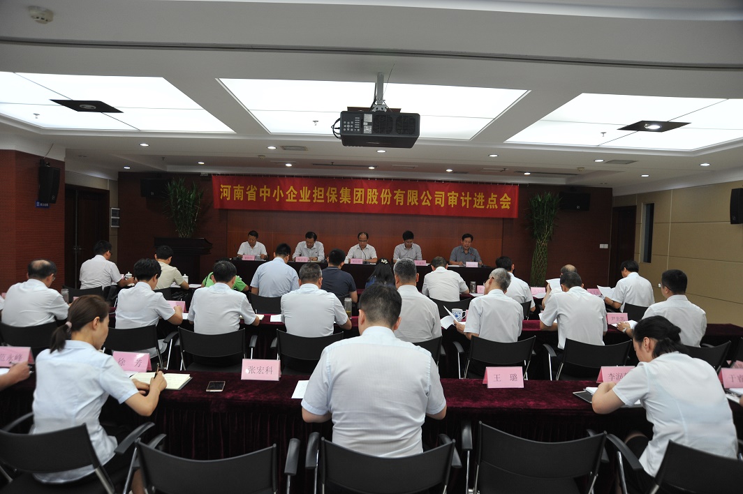  省担保集团公司召开审计进点会